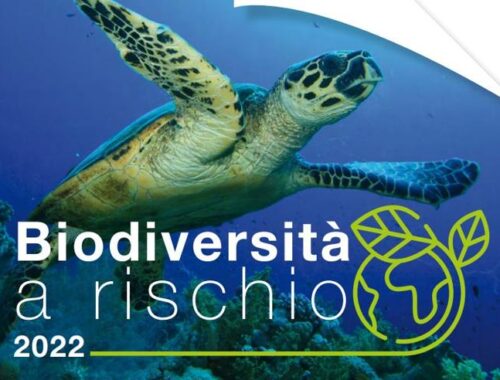 Italia, primo paese in UE per tutela biodiversità