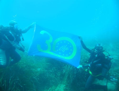 Il lancio di Life Sea.Net: immersione subacquea tra i fondali marini dell’Arcipelago Toscano